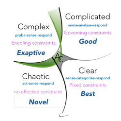 Cynefin framework